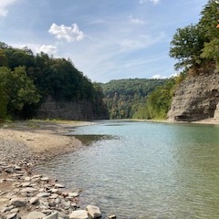 Fundraising Page: Jennifer Ferriss